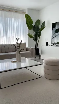 🌵درختچه تزئینی مبل وزرا &nbsp;