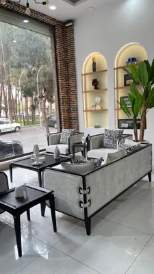 🌵درختچه تزئینی مبل وزرا &nbsp;