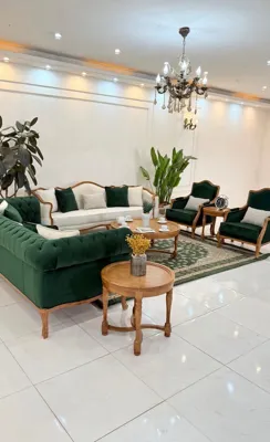 🌵درختچه تزئینی مبل وزرا &nbsp;