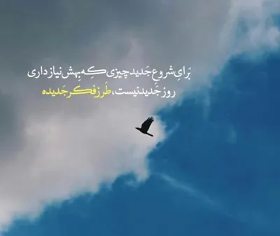 زهره تیموری صفی آباد