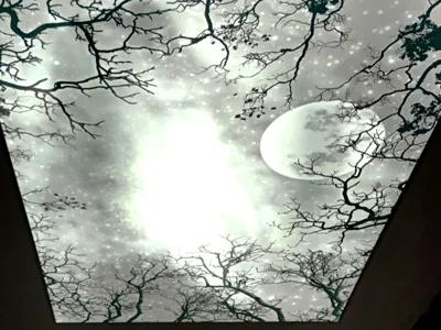 اجرای سقف کشسان در کرمان&nbsp;