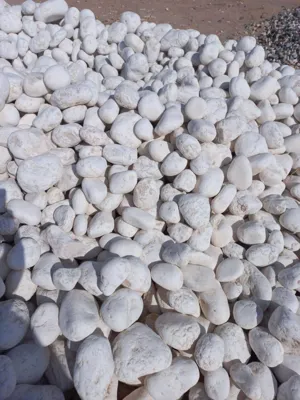 ثبت سفارش قلوه سفید