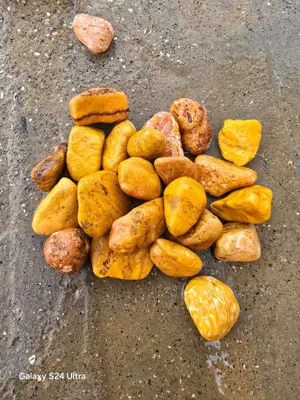 مرجع فروش قلوه سفید
