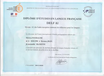 DELF A1