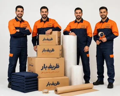کارگران حرفه ای حمل و نقل