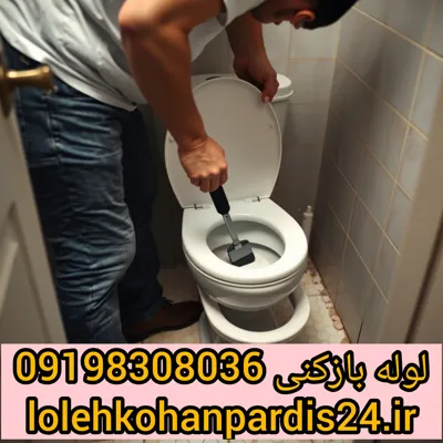 برای لوله بازکنی گیلاوند باشماره09198308036تماس بگیرید