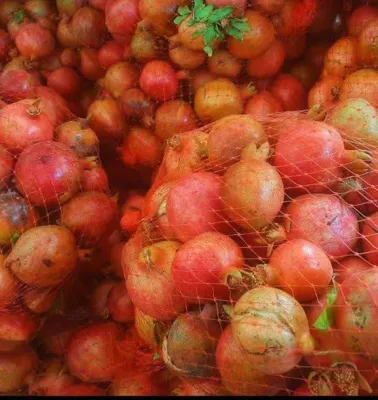 فروش انار در اصفهان&nbsp;