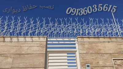 حفاظ شاخ گوزنی