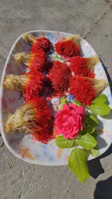 خرید زعفران درجه یک