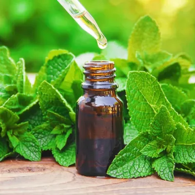 خرید مواد اولیه صنایع
