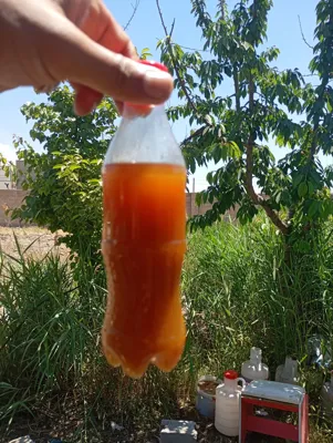 شرکت خرید روغن سوخته خوراکی خرم آباد&nbsp;