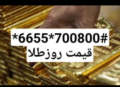 فاطمه محمدی