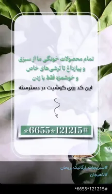 فاطمه محمدی