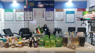 اعظم یوسفی
