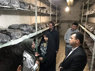 اعظم یوسفی
