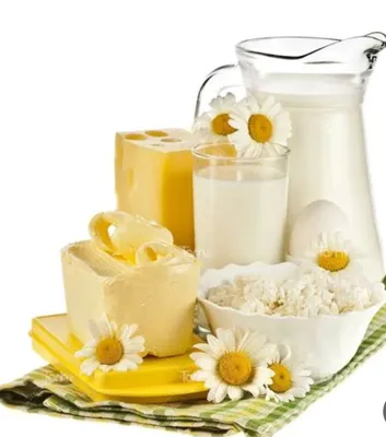 &nbsp;لبنیات سنتی سنگسر ساری