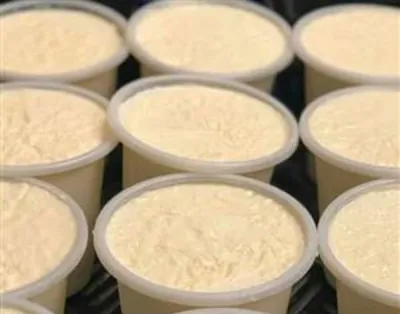 ماست گوسفندی