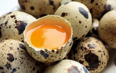 &nbsp;لبنیات سنتی سنگسر ساری