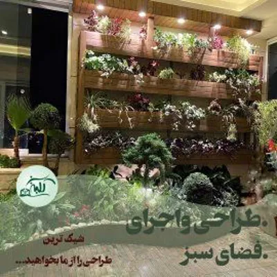طراحی گرین وال در تهران