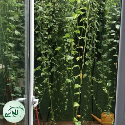 اجرای گرین وال در تهران