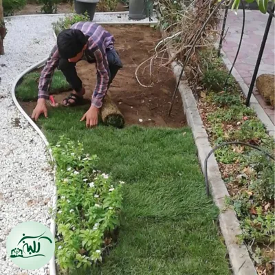 اجرا و طراحی فضای سبز گرین وال آبنما در تهران