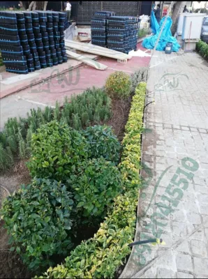 طراحی فضای سبز در تهران