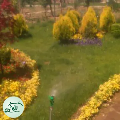 طراحی و اجرای چمن رول طبیعی در تهران