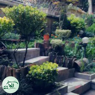 خدمات طراحی محوطه سازی در تهران