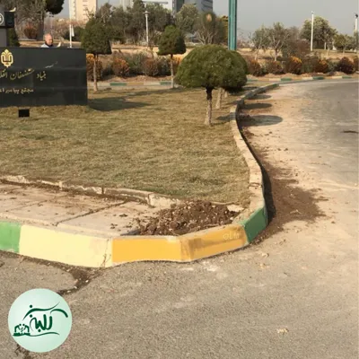 اجرای چمن رول طبیعی در تهران