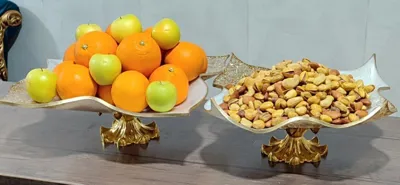ظروف پذیرایی رزینی شرق تهران