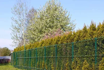 فنس کشی باغ ویلا