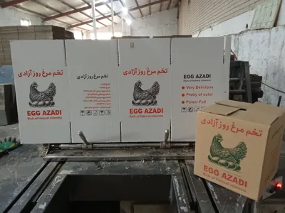 اختصاصی ترین کارتن سازی در تبریز
