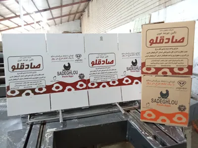 تولید و ساخت کارتن در تبریز