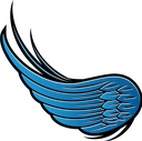 سارا کریمی جاری