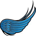 سارا کریمی جاری