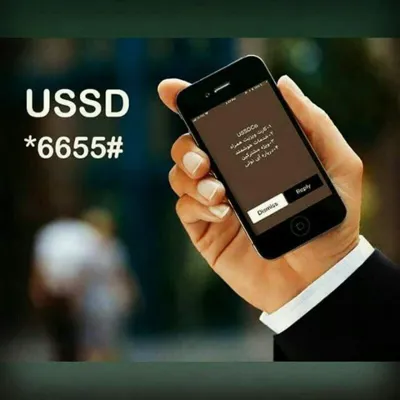 کارشناس آینوتی