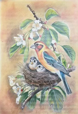 تکنیک پاستل گچی