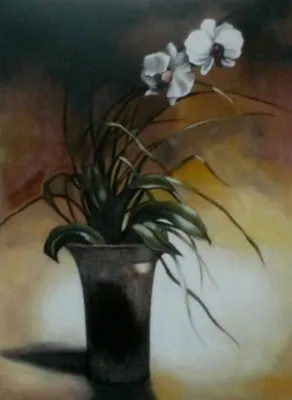مولود زرندی اصل