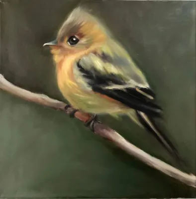 مولود زرندی اصل