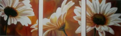 مولود زرندی اصل