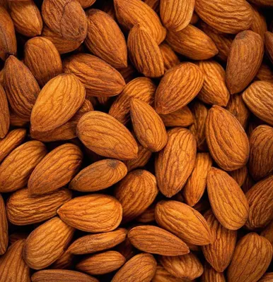 عمده فروش آجیل در تهران