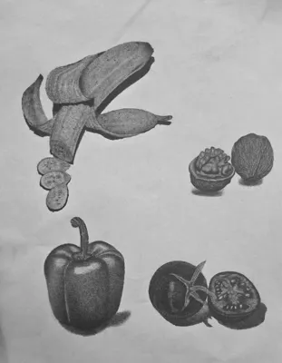 طراحی میوه جات در بهارستان