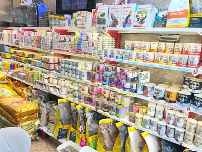 پت شاپ گرمدره