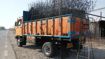 حفاظ شاخ گوزنی در شهریار