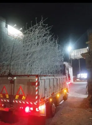 حفاظ شاخ گوزنی در شهریار