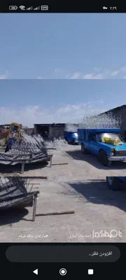 حفاظ شاخ گوزنی در شهریار