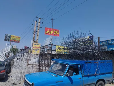 حفاظ شاخ گوزنی در شهریار