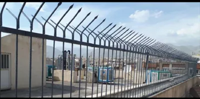 حفاظ شاخ گوزنی در شهریار