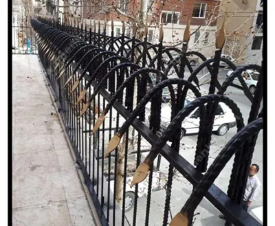 حفاظ شاخ گوزنی در شهریار