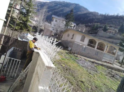 حفاظ شاخ گوزنی در شهریار
